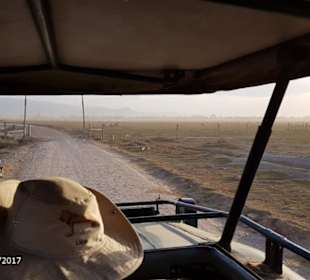 PrivatSafari 10/17 - Tsavo+Amboseli - impressions