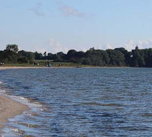 Naturstrände an der Flensburger Förde