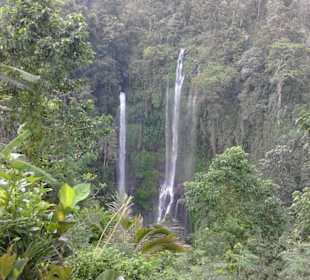 Sekumpul waterfalls