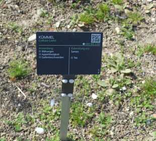 Erläuterungen der Kräuter