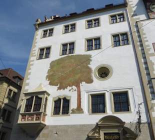Das Rathaus von Würzburg