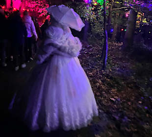 Mondo Verde Halloween