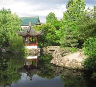 Harmonie in Vollendung