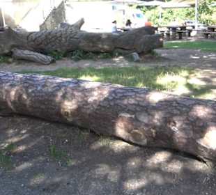 Gaststätte Bärenschlössle