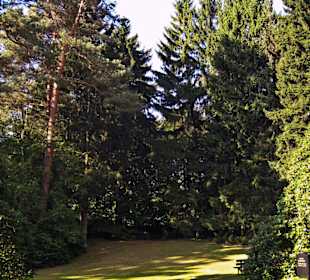 Кладбище Ольсдорф, Гамбург, 16 сентября 2013 года