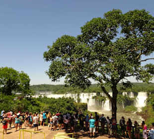 Wasserfälle von Iguazu. Ein Weltwunder