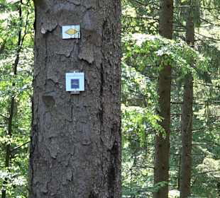 Griesbacher Wasserfälle Bad Griesbach