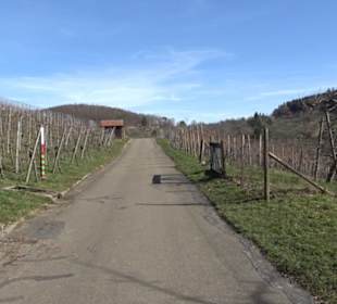 Weinberg