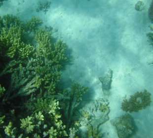 Unterwasseraufnahme am Strand