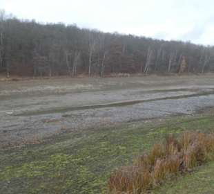 Nov. 2021: Am abgelassenen Ellertshäuser See