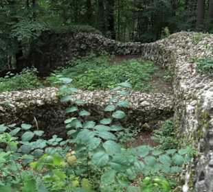 Burg Alt-Lichtenstein