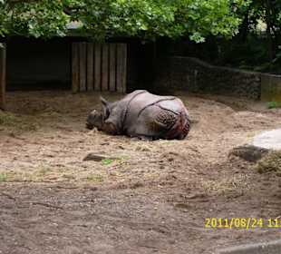Besuch im Berliner Zoo