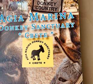 Agia Marina Donkey Rescue