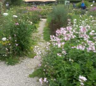 ALB-GOLD Naturgarten