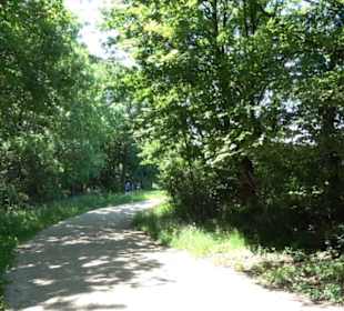 Premiumwanderweg "hochgelegen"