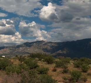 Panorama