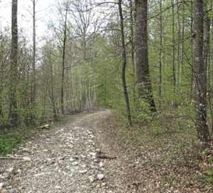 Wanderweg Firstwaldrunde