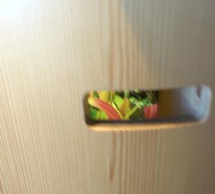 Schwarzwälder Schinkenmuseum