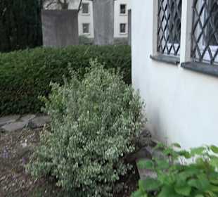 Pfarrkirche St. Leonhard Daugendorf