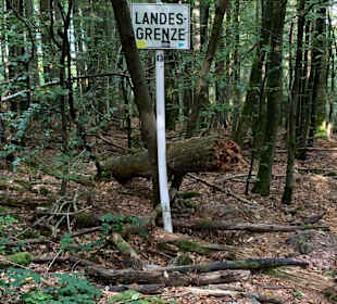 Wandern Waldmünchen