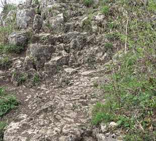 Biotop Knoblauchfelsen