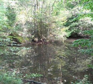 Hummelklingensee Walddorf