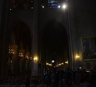 Katedra Notre Dame