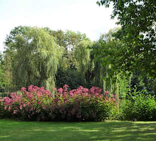 Rundgang durch den Edgar-Deichmann-Park