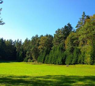Wanderung zum Signalstein Fränk.Schweiz