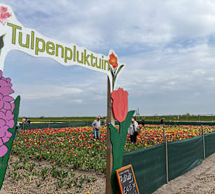 Floratuin Julianadorp