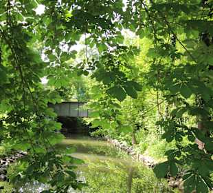 Wasserläufe im Schlosspark