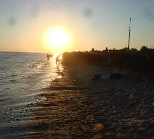 Прибрежный закат