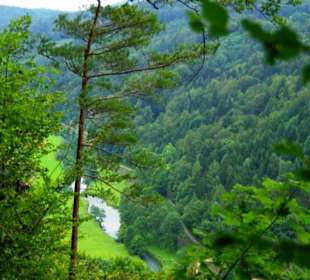 Auf-Abstieg Adlerstein Panorama
