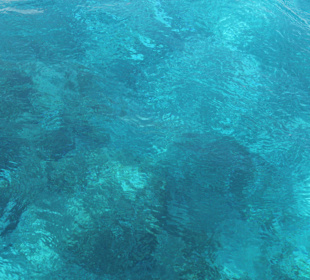 Vom Schiff aus sieht man bis auf den Grund