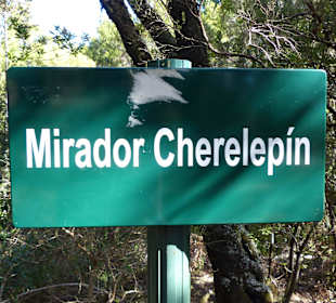 Parque Nacional de Garajonay