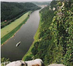 Blick auf die Elbe