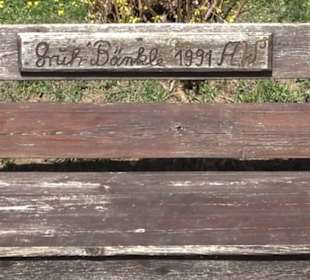 Premiumwanderweg "hochgeblickt"