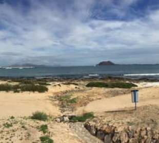 Strand Playa Las Agujas Corralejo