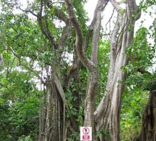 Halbinsel Samana
