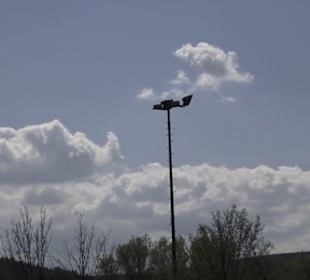 Sport- und Freizeitpark Markwasen