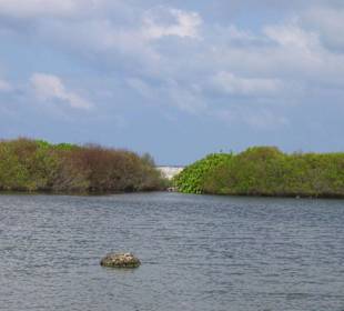 Landschaft