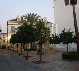 Excursión a marbella, playas y pueblo
