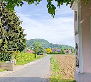 Wanderweg zum Buchkogel