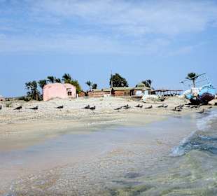 Schnorcheln Marsa Alam