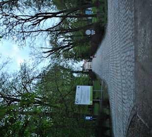 Aleje do Pałacu.