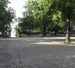 Lindenhof