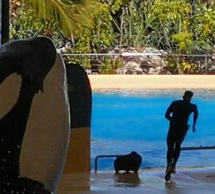 Loro Parque 