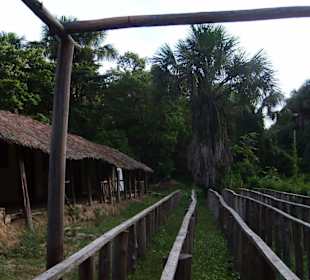 Ausblick vom Deltacamp in den Dschungel!