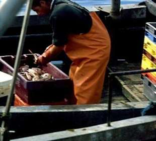 Ein Fischer im Hafen von Cleggan