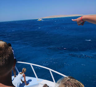 Giftun / Mahmya Inseln